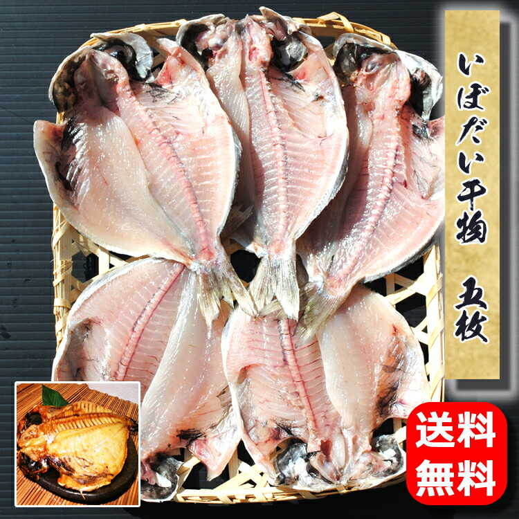 楽天市場 100円クーポン あす楽 お歳暮 ギフト 干物のお取り寄せ グルメ いぼだい干物 5枚 ハロウィン 誕生日 プレゼント 送料無料 国産 エボダイ えぼだい えぼ鯛 魚 食品 食べ物 おかず 酒のおつまみ 食べ物 福袋 保存食 海鮮 開き 小田原 秋 小田原ひもの 山