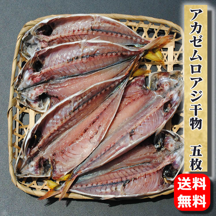 【楽天市場】お取り寄せ 海鮮 グルメ 残暑見舞い 敬老の日 ギフト プレゼント アカゼムロアジ干物 5枚【相模湾産】 産地直送 こだわり 食品 手作り 国産 誕生日 送料無料 むろあじ 1位 魚 小田原 山市 内祝い 通販 老舗 バーベキュー:小田原ひもの 山市干物専門店