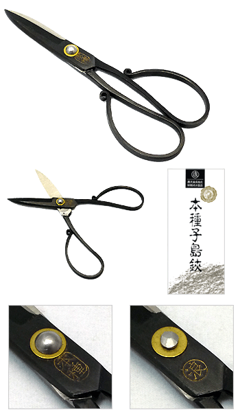 楽天市場】本種 池浪刃物製作所 種子島はさみ5寸木箱入り純手打ち黒
