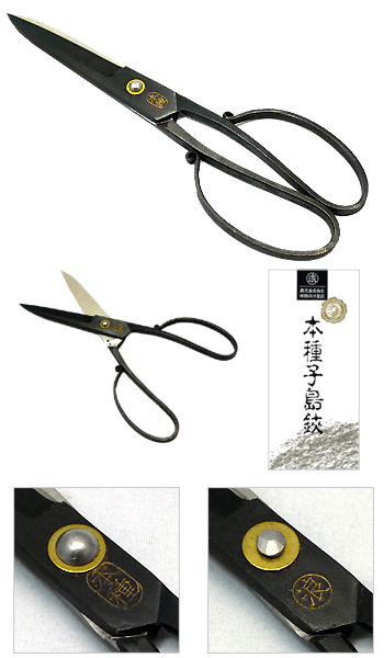 新品　本種子鋏　6寸　黒仕上げ　池波刃物製作所 Amazon | 種子島本種 池浪刃物製作l所 種子鋏（たねばさみ）黒