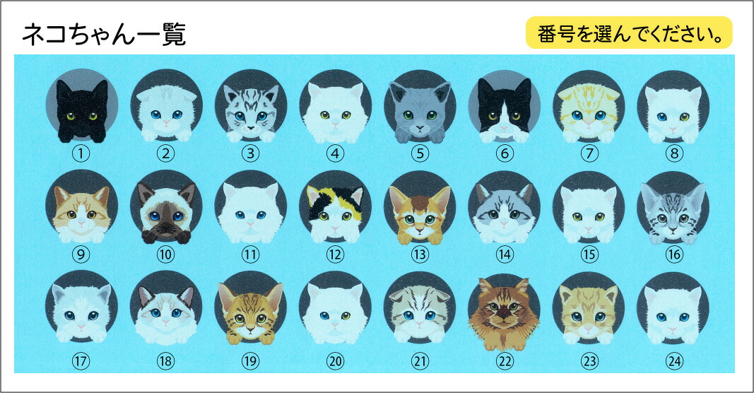 ネーム入り にゃんこ 缶 おやつ入れ Cat トリーツケース ギフト 小物入れ オリジナル ネコ かわいい 猫 おやつ ペット 名前入り