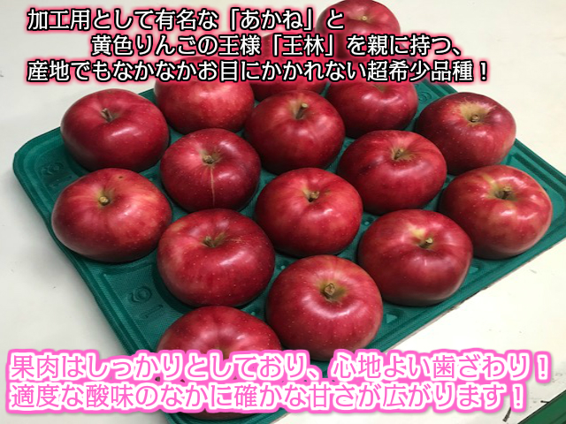 楽天市場 奇跡の入荷 送料無料 青森県産 彩香 さいか 家庭用 5kg 約5キロ 中生種りんご 食品 果物 フルーツ お取り寄せグルメ 山金りんご 楽天市場店