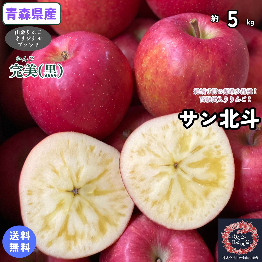 専用10キロ、りんご10キロ 光センサー選果 青森県産 りんご 10キロ 加工用 10kg : 寺田フルーツ