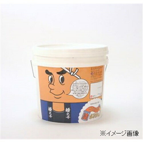 【お取り寄せ】オンザウォール 高だかで塗れるもん（室内装飾完成材） コテノスケ（ピュアホワイト） 22kg