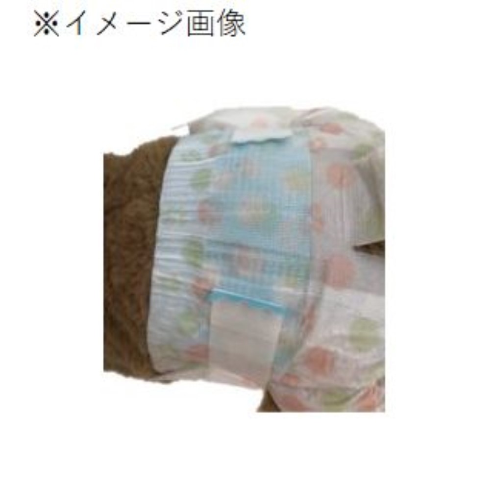 ☆セール30％OFF☆ inudog様専用 - www.intermonza.com.br