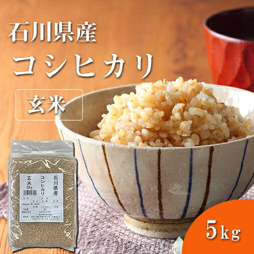 福井精米 令和6年度産　石川県産　こしひかり玄米 コシヒカリ お米 5kg  【お一人様４点限り】
