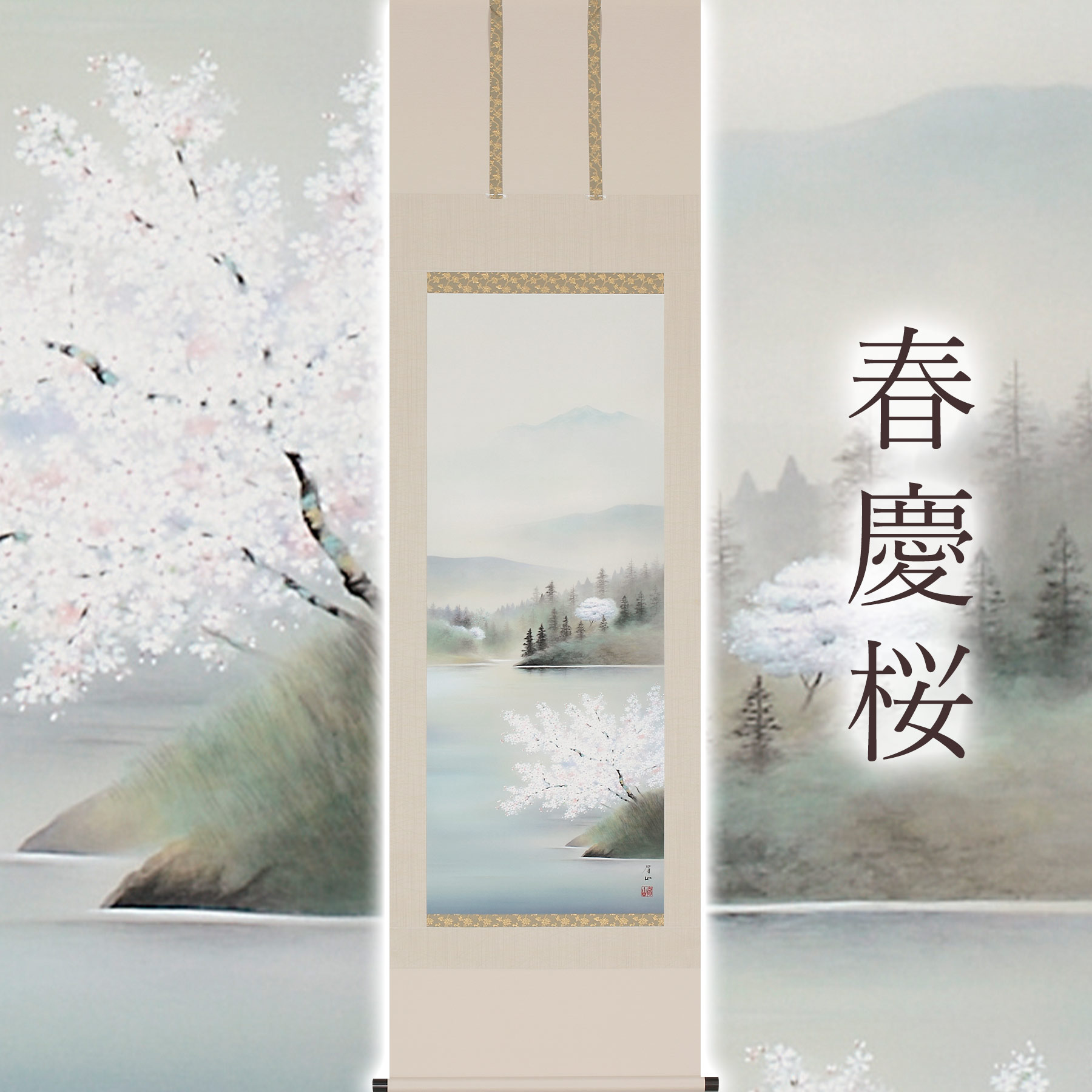 掛け軸「春慶桜」 佐藤眉山 尺五立 大きさ：54.5×190糎 桐箱付 掛け軸 殺虫剤 剤 貨物輸送無料 表装 床の間 納める 木 箱 今めかしい 茶道 御先棒 掛け 掛ける