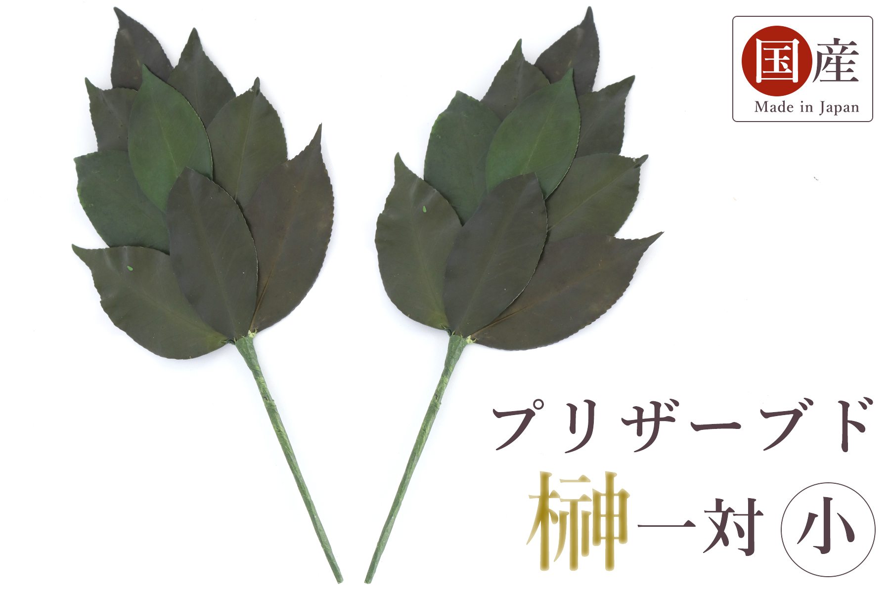 売れ筋新商品 榊 造花ではない天然の葉 プリザーブド榊 一対 小 神棚用