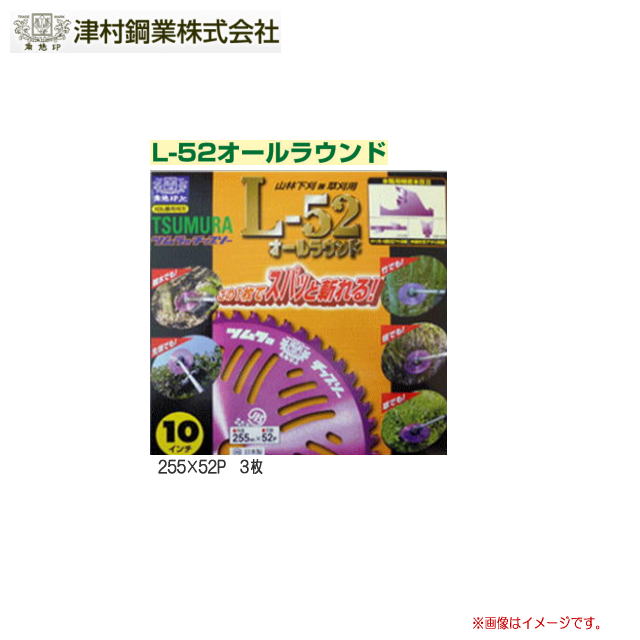 たまけんさん専用 Amazon | 池田工業社 けん玉 けん玉チャンプ 000046280 | けん玉