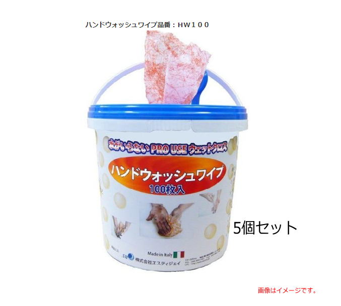ハンドウォッシュワイプ　HW100 ５個セット 水がいらない PRO USE ウェットクロス イタリア製 ●お近くに水場が無く手洗が直ぐに出来ない所に最適です。《北海道、沖縄、離島は別途、送料がかかります。》《代金引換（コレクト）のご利用が出来ません。》
