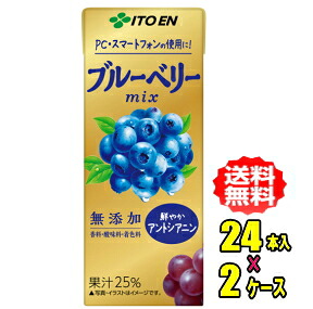 伊藤園　ブルーベリーmix　200ml紙パック×24本入×２ケース(48本)