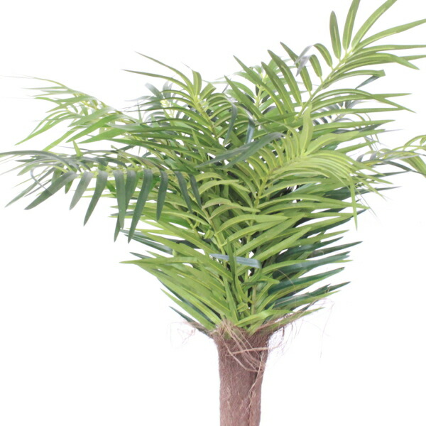 人工観葉植物 大型 フェニックスパームツリー 105cm Bt 0109s ヤシ 造花 フェイクグリーン Ct触媒 Snb Painfreepainrelief Com