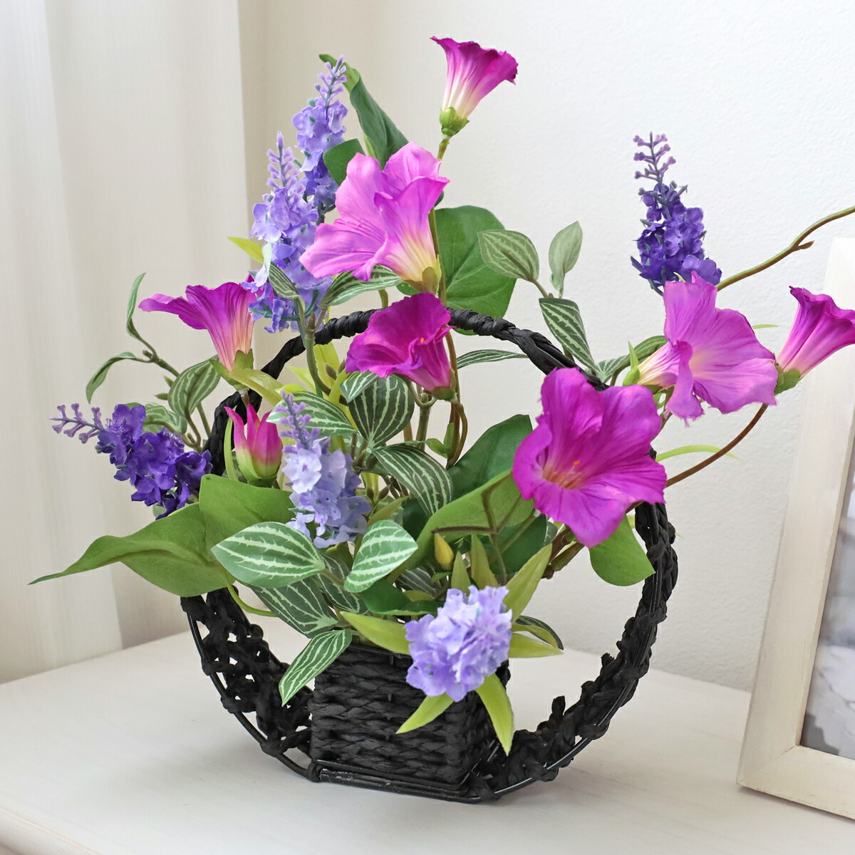 楽天市場】【5%OFFクーポン有り！11月30日限り】【2個入り】あさがお