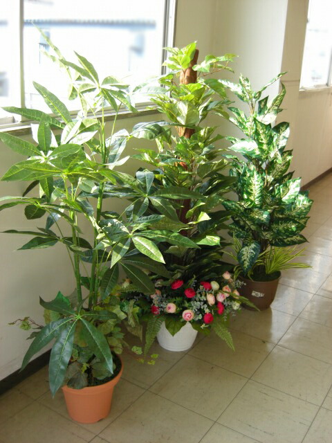 観葉植物 Snb Ct触媒 シルクフラワーの山久 観葉植物 花 観葉植物 フェイク 大型 インテリアグリーン 現代の進化した人工観葉植物 インテリア グリーン3本入福袋 Snb