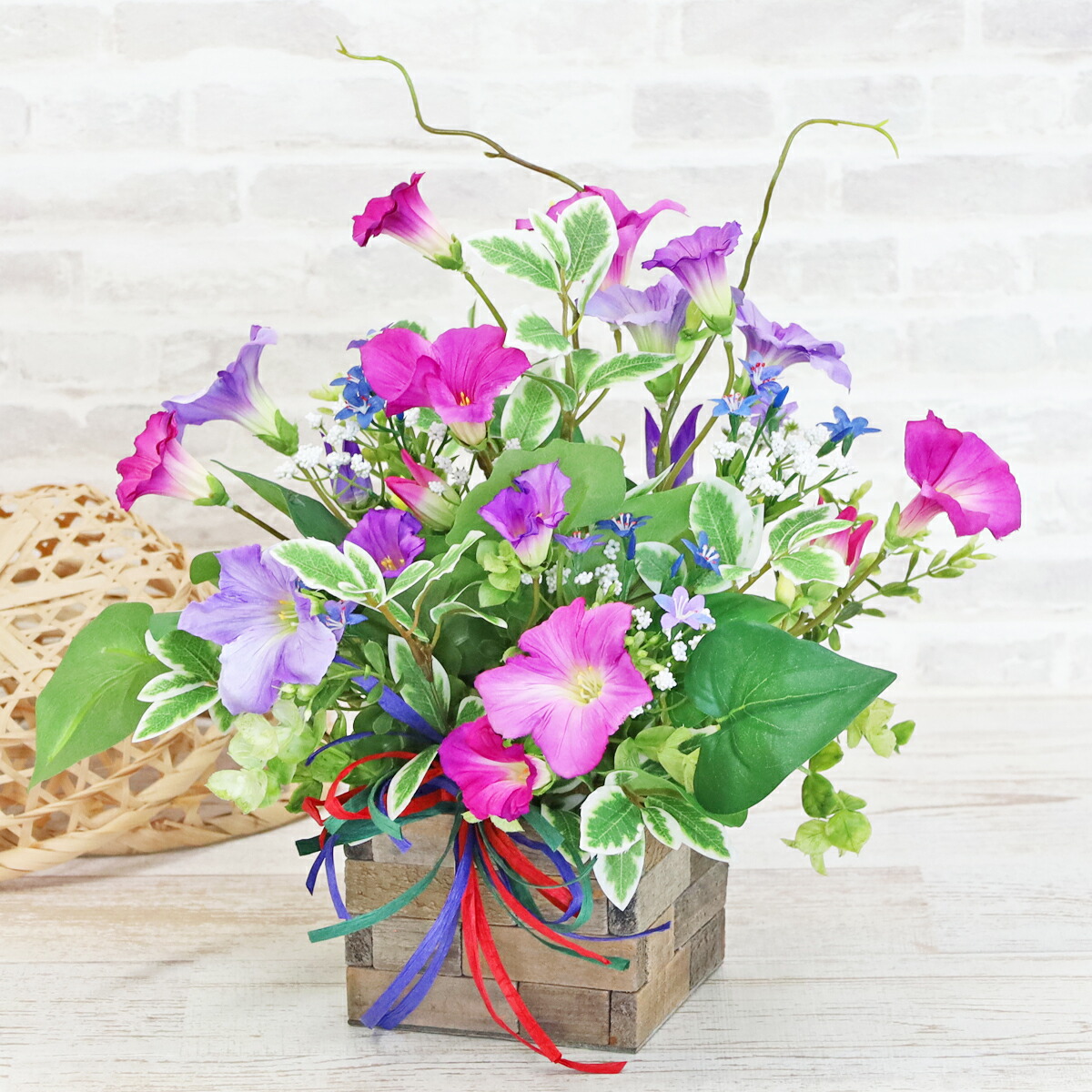 あさがお 送料無料]アサガオ曜白朝顔おまかせ花色ミックス2.5号ポット40株