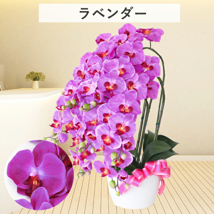 胡蝶蘭 造花５本立 鉢植え - patriciabarcelona.com