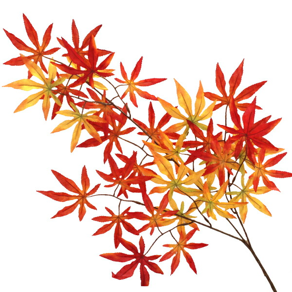 SB01メープルリーフ紅葉354cm正絹手織 着物 浴衣/水着 レディース 【使い勝手の良い】