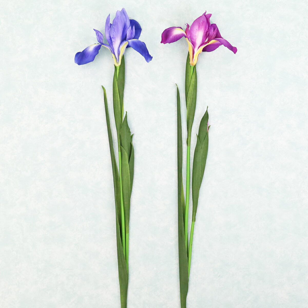 ひまわり専用 楽天市場】造花 3輪付ひまわりスプレー 全長90cm 4058 ひまわり