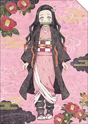 楽天市場】鬼滅の刃 柱展 A4クリアファイル 冨岡義勇 : アニメグッズ