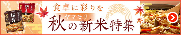 楽天市場】【ポイント10倍】名代つゆ 3倍濃縮 1L（1本）｜ めんつゆ 麺つゆ つゆ つゆの素 調味料 あす楽 : ヤマモリ公式 楽天市場店