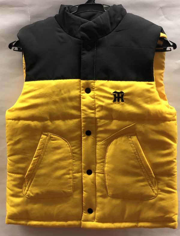 楽天市場】【最大500円クーポン配布中】[即日発送][数量限定]ファン