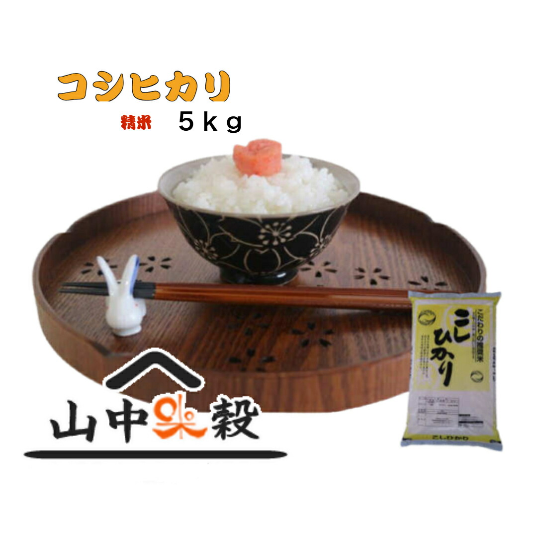 ６年千葉県コシヒカリ白米 ５ｋｇ