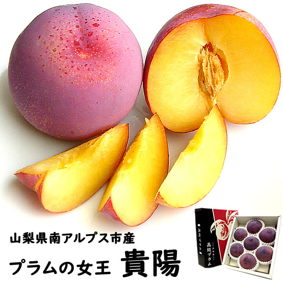 山梨県 南アルプス市産 プラム すもも スモモ 貴陽 きよう 皇寿 こうじゅ 6個から9個入 約1.8～2Kg 化粧箱入 お中元 御中元 ギフト 贈り物 プレゼント 産地直送 送料無料※一部地域を除く