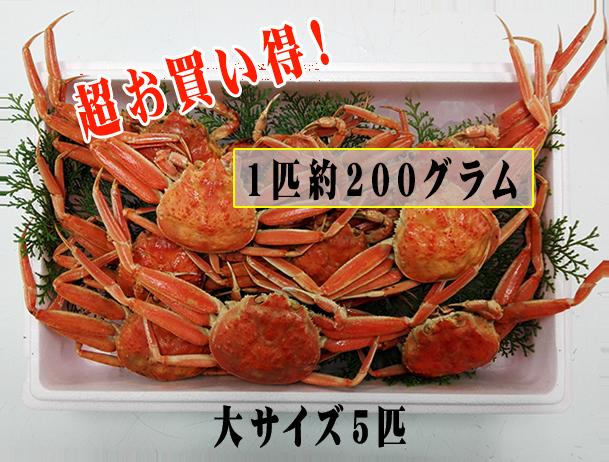 [冷凍せこかに5匹で約1kg][冷凍]香住のセイコガニ 　大サイズ1匹（約200g）5匹セット
