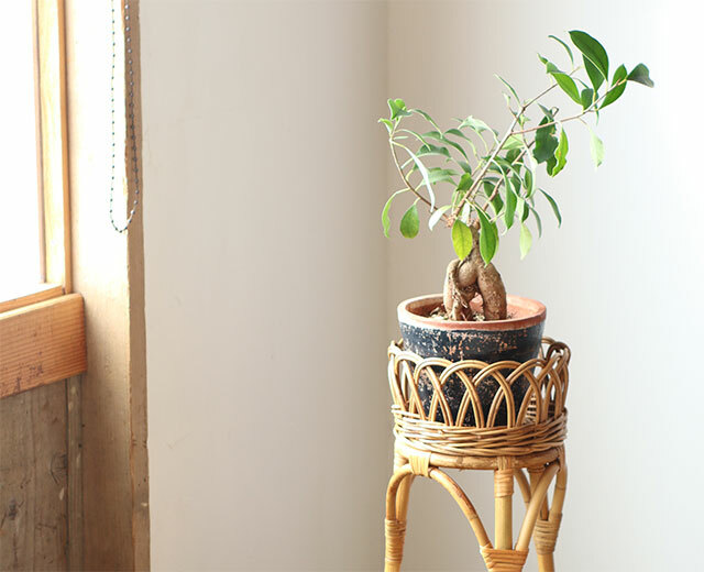 籐 ラタン 花台 希少 アンティーク アジアン vintage フラワースタンド 0a2-5r3-m138h0_1.jpg