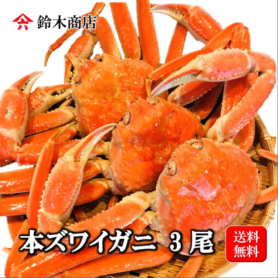 市場 マラソンクーポン配布中 冷凍ボイルズワイガニ 3尾 ロシア産 約2k 鮮度抜群 6月製造 市場 マラソンクーポン配布中 冷凍ボイルズワイガニ 3尾 ロシア産 約2k 鮮度抜群 6月製造