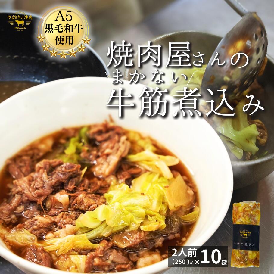 牛すじ煮込み 250g 10パック お取り寄せ 国産 牛すじの煮込み ぎゅうすじ煮込み 牛すじ煮 冷凍 牛すじ gyuusuji 土手煮 どて煮 牛すじどて煮 牛筋煮込み 冷凍おかず レンジ 一人暮らし 美味しいおかず ご飯のつまみ 冷凍お惣菜 おいしい 温めるだけ 肉系おかず レトルト