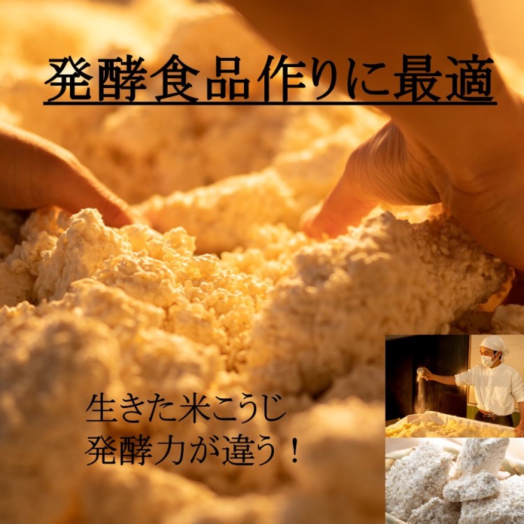 楽天市場】米麹 生きた米こうじ 6ｋ (1k×6） 発酵食品作りに最適 生きた糀 会津産コシヒカリ使用 酵素の働きが活発 冷凍保存可能 発酵食品作り  生糀 塩糀 甘酒 醤油糀 みそ作り こうじ水 味噌 塩麹 醤油麹 味噌作り 国産 生麹 生酵素 こうじ 麹 蔵元直送 新鮮 出来立て ...