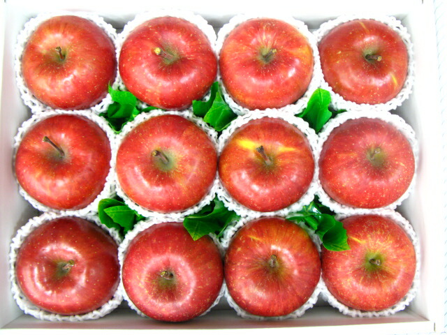<br>サンふじりんご<br>サンフジリンゴ<br>サンフジ林檎<br>12個入り<br>送料無料（沖縄は1000円加算させていただきます。）<br>明日楽あす楽【楽ギフ_包装選択】<br>【楽ギフ_のし宛書】<br>【楽ギフ_メッセ入力】