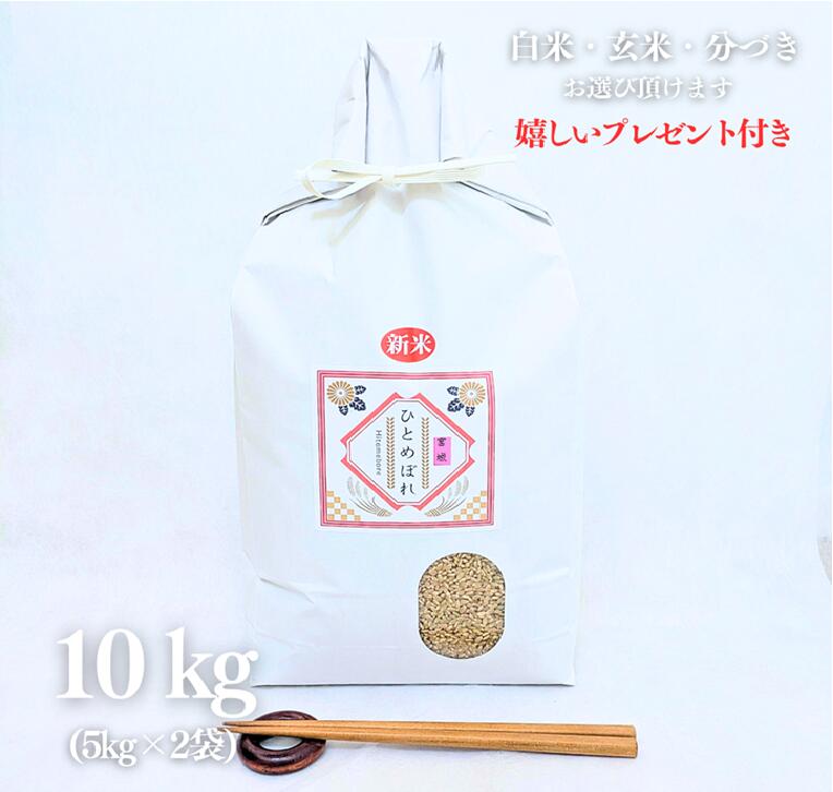 お米 10kg 特別栽培米 宮城県 ひとめぼれ 令和7年産 玄米 5kg&times;2袋 精米無料 白米 5分付き 7分づき 熨斗無料 京都 グルメ ギフト 米袋 嬉しいプレゼント付き 送料無料｜京の米屋やましな