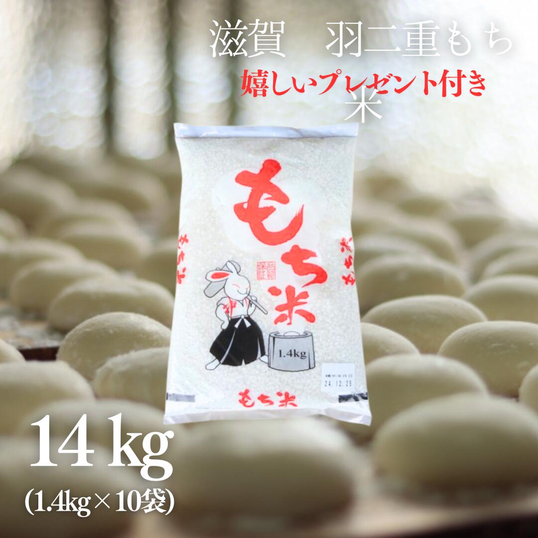 新米 お米 羽二重 もち米 14kg (1.4kg×10袋) 1斗 滋賀県産 令和7年産 餅つき 餅 お餅 おはぎ 赤飯 おこわ 嬉しいプレゼント付き 送料無料