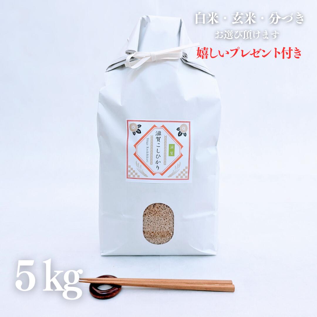 新米 お米 5kg 滋賀県 ミルキークイーン 玄米 5kg×1袋 令和7年産 精米無料 白米 5分付き 7分づき 熨斗無料 グルメ ギフト 紙袋 嬉しいプレゼント付き 送料無料