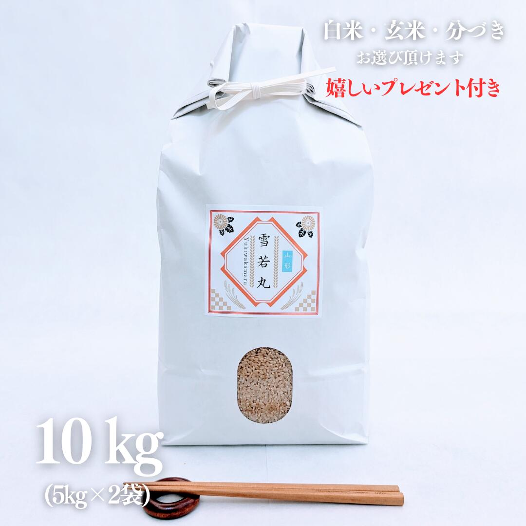 お米 10kg 山形県産 雪若丸 玄米 5kg&times;2袋 令和7年産 精米無料 白米 5分付き 7分づき 熨斗無料 グルメ ギフト 紙袋 嬉しいプレゼント付き 送料無料｜京の米屋やましな