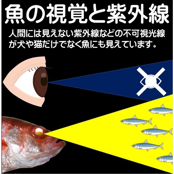 楽天市場 光る目ケイムラフラッシャー３色ムツ16号吹き流し3本針仕掛け アカムツ 仕掛け アカムツ 竿 アカムツ 餌 アカムツ エサ アカムツ ケイムラ 効果 アカムツ ホタ針 山下漁具店 釣り侍のデコ餌 釣り侍のデコ針 ケイムラ加工 のどぐろ 仕掛け 釣り大会 景品