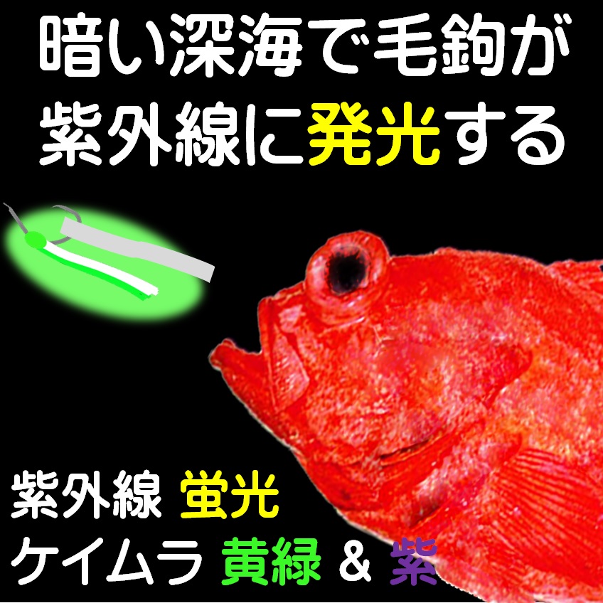 アコウダイ 仕掛け 用 ムツ針24号 ケイムラ パープル 色コンビフラッシャー 各5本計本組 アコウダイ釣り アコウダイ仕掛け アコウダイ 釣り 山下漁具店 メヌケ釣り メヌケ 仕掛け アコウダイ 赤魚 アコウダイ エサ アコウダイ 餌 アコウダイ 釣り方 メヌケ 魚