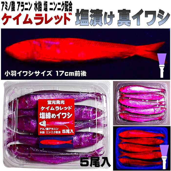 楽天市場】テンヤタチウオ 餌 テンヤ太刀魚 仕掛け 激臭にんにく