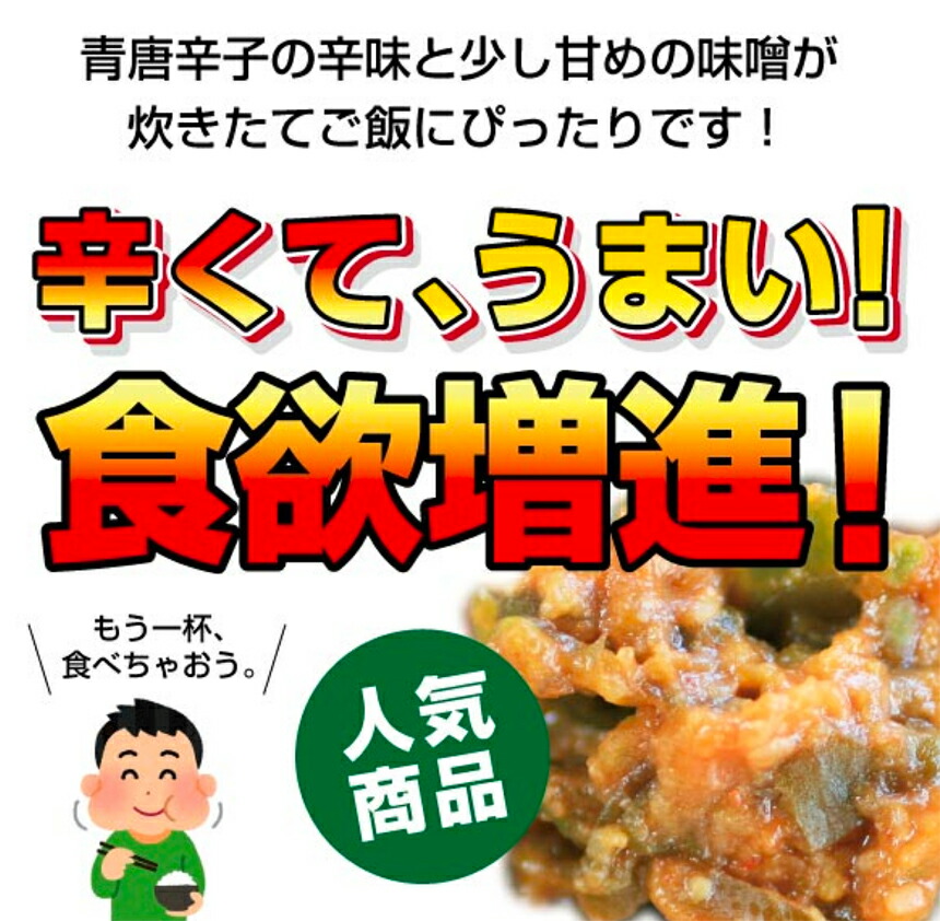 最大の割引 青唐がらし味噌 250g×3袋セット 送料込みご飯のお供 青唐辛子味噌 青唐辛子 お取り寄せ 味噌 みそ qdtek.vn