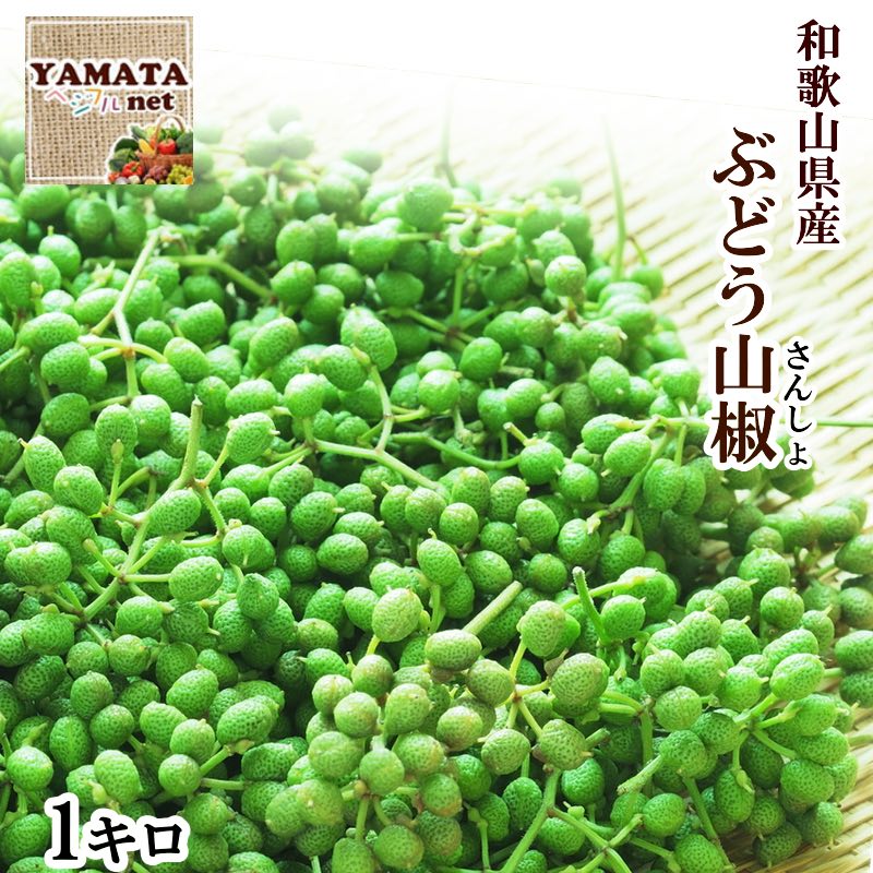 予約受付中 さんしょう ぶどう山椒 和歌山県産 生山椒 1kg 送料無料 山椒の実 生産量日本一の和歌山県より産地直送 数量限定 青山椒 5月下旬頃より発送開始予定 ちりめん山椒 佃煮などお好みの調理法でお使い下さい 和歌山の温暖な気候で太陽の光を一杯に浴び