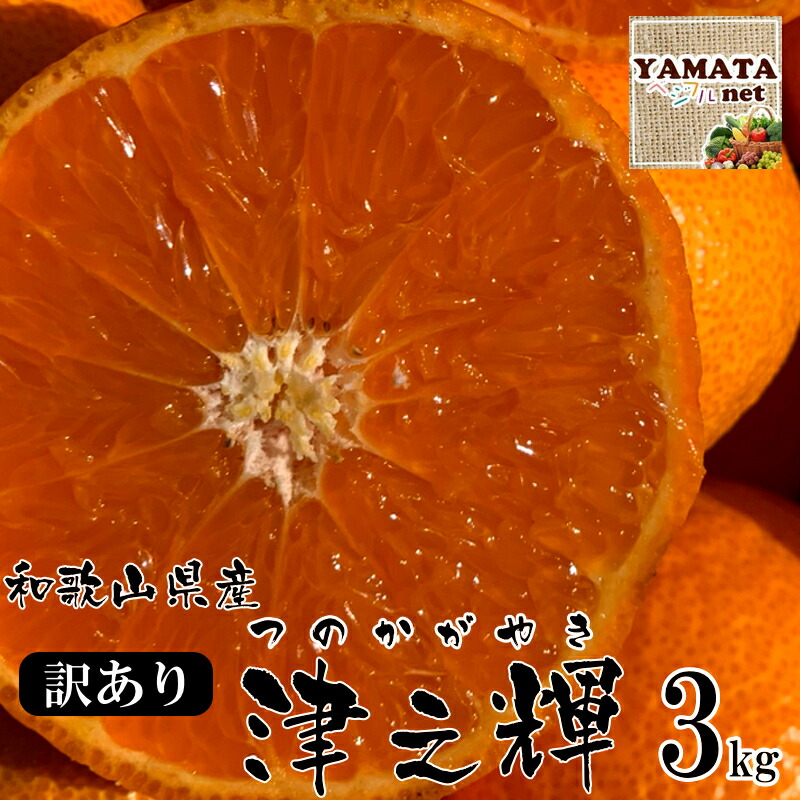 楽天市場】特選 津之輝 送料無料 1kg ～ 10kg サイズ混合 津の輝き