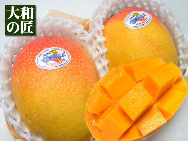 楽天市場 8月末旬以降予定 日本向けの航空便マンゴーをお届け メキシコ産 お試しアップルマンゴー 2個入り 送料無料 フルーツ 大和の匠