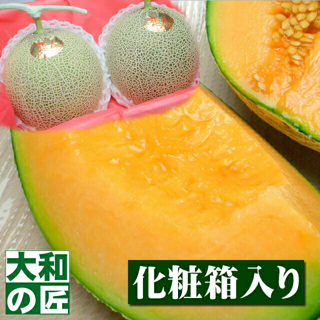 【5月下旬以降予定★】熊本県産 恋人メロン[2玉入り化粧箱] フルーツ 果物 メロン 赤肉メロン 父の日 父 義父 お供え お見舞い 内祝 ギフト 贈り物 プレゼント グルメ