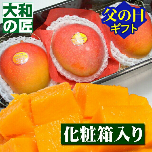 【順次発送可能★】メキシコ産 アップルマンゴー[特選大玉3個入り化粧箱] フルーツ 果物 マンゴー 中元 お中元 御中元 入学 お供え 御供 ギフト 贈り物 プレゼント グルメ 父の日 父 義父