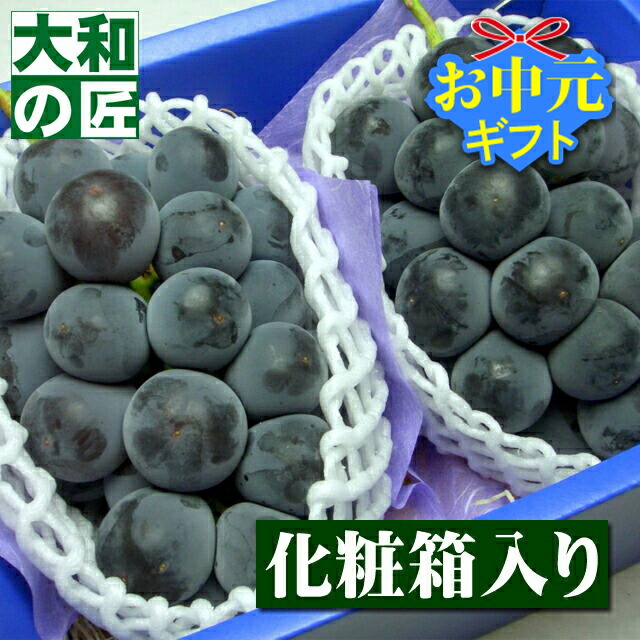 【6月中旬以降予定★】ブドウの名産地岡山の種無しブドウ 岡山県産 特選ピオーネ[2房入り化粧箱] フルーツ 果物 くだもの ぶどう ブドウ 葡萄 中元 お中元 御中元 果物 ギフト 贈り物 プレゼント グルメ