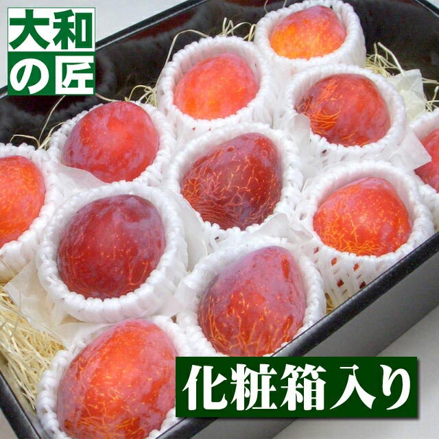 【7月下旬以降予定★】 お中元 御中元 山梨県産 最高級プラム 月光[中玉11個入り化粧箱]【売れ筋】 フルーツ 果物 くだもの すもも スモモ プラム ギフト 贈り物 プレゼント グルメ｜フルーツ　大和の匠