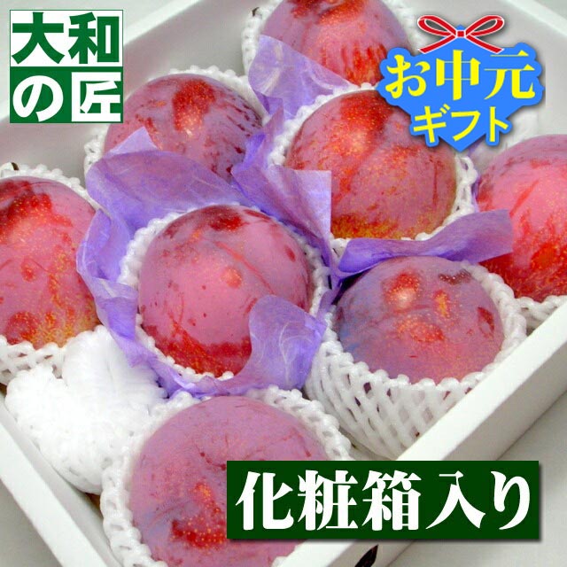 新鮮 プラム 多数 すもも　2.5キロ 楽天市場】プラム（総重量（果物）4.00 ～ 4.99kg）（フルーツ