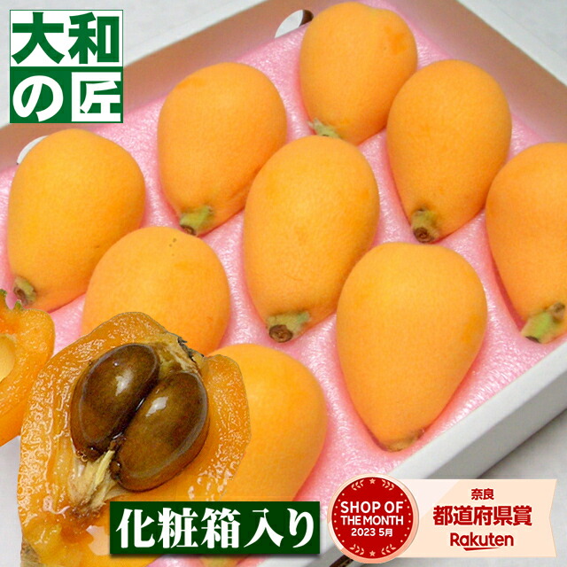 【順次発送可能★】長崎県産 茂木びわ[2L9個入り又は3Lサイズ8個入り] フルーツ 果物 母の日 母 義母 びわ ビワ 琵琶 ギフト 贈り物 プレゼント グルメ